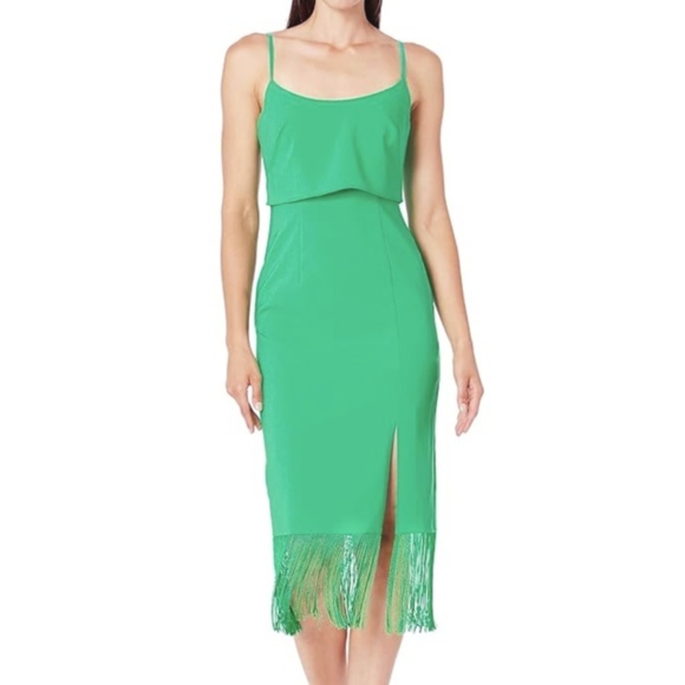Adrianna Papell - Stretch Crepe Fringe Midi Dress